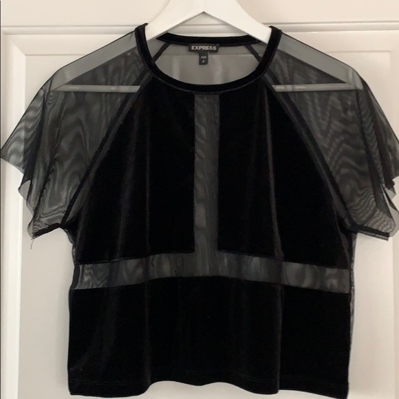 Express Tops - Sheer and velvet crop top from Express ❤️